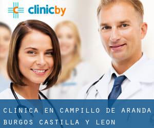 clínica en Campillo de Aranda (Burgos, Castilla y León)